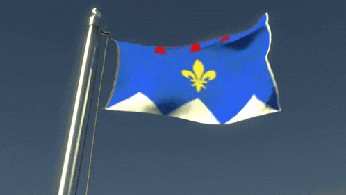 a blue flag with yellow fleur de lis on it