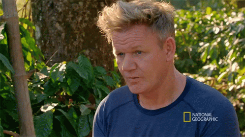 What Did You Say Gordon Ramsay GIF - What Did You Say Gordon Ramsay Weaver Ants Chutney GIFs