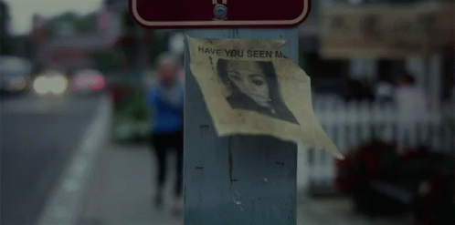 Wanted Have You Seen This Girl GIF - Wanted Have You Seen This Girl Lost GIFs