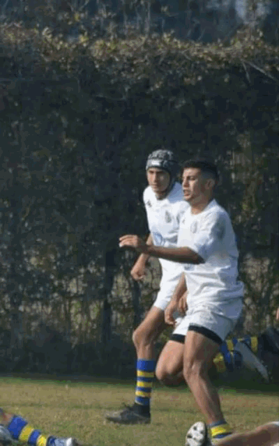 Rugby Tackle GIF - Rugby Tackle Sports GIFs