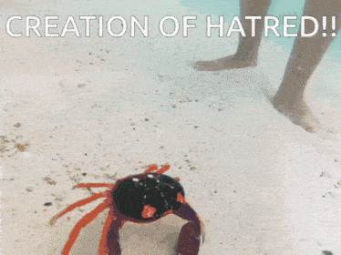 a picture of a crab and a fish with the words " creation of hatred " above them