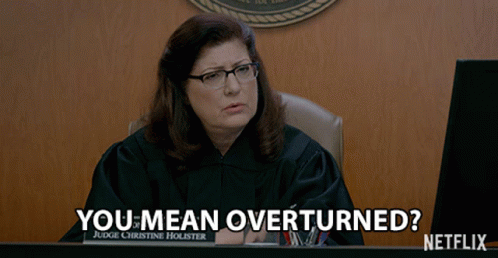 You Mean Overturned Judge GIF - You Mean Overturned Judge Court GIFs