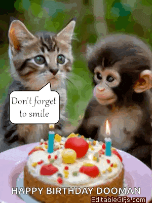 a cat and monkey are sitting next to a birthday cake with candles .
