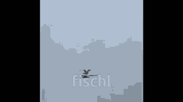 a bird is flying over a building with the word fischl on the bottom right