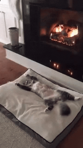 Yes Good GIF - Yes Good Afternoon GIFs