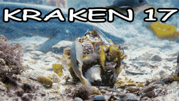 a picture of a coral reef with the words kraken 17 on the bottom