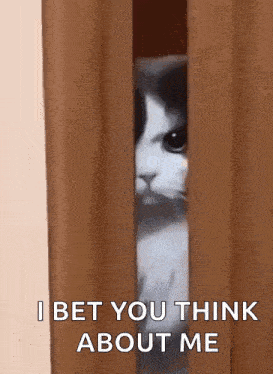 Swiftie Taylor Swift GIF - Swiftie Taylor Swift I Bet You Think About Me GIFs