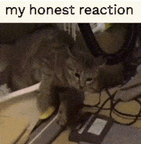 a cat is playing with a mouse on a desk with the words `` my honest reaction '' below it .
