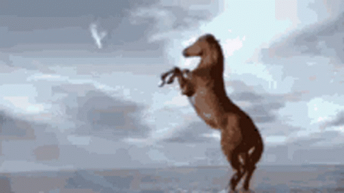 Horse Dove GIF - Horse Dove Playing GIFs
