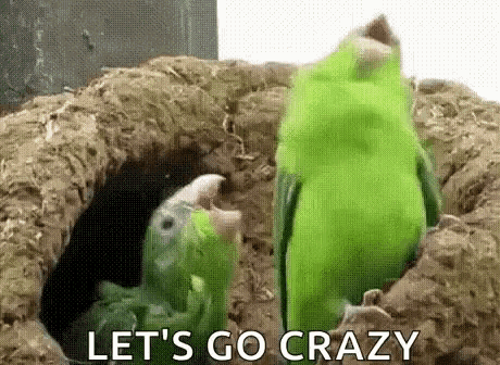 two green parrots are standing next to each other in a hole .