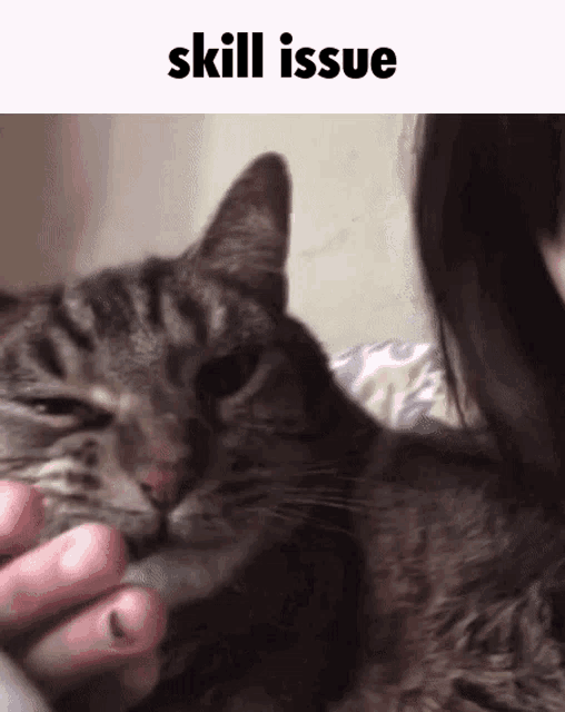 Randal Cat GIF