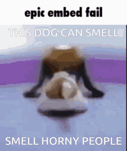 a picture of a dog that says epic embed fail