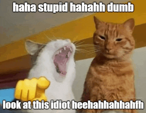 a picture of two cats with a caption that says " haha stupid hahaha dumb look at this idiot heehahhhahhh "