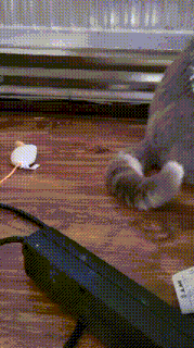 a cat playing with a toy mouse on a wooden table
