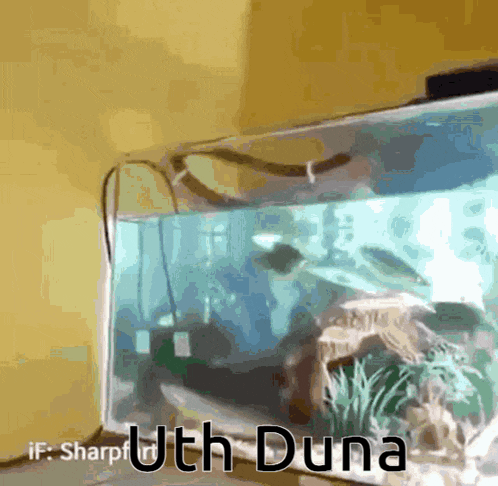 a fish tank with the name uth duna written on it