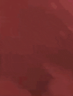 a man is standing in front of a red wall .