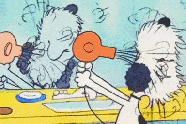 a cartoon of a dog blow drying another dog 's hair