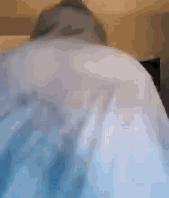 a blurry picture of a person laying on a bed with a blue blanket