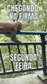 a picture of a cat on a railing that says chegando na firma