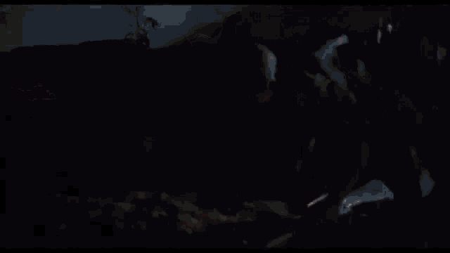 a group of people are standing in a dark room with a fire in the background .