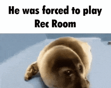 He Was Forced To Play Rec Room GIF - He Was Forced To Play Rec Room GIFs