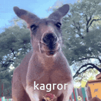 a kangaroo is holding a piece of food and the word kagror is on the bottom