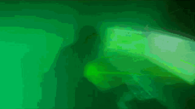 a person playing a keyboard in a dark room with green lights coming out of the computer screen