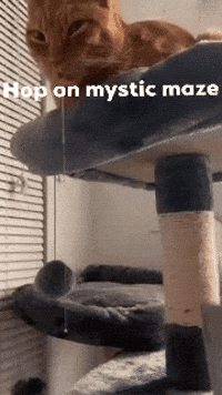 Mysticmaze Mystic Maze GIF - Mysticmaze Mystic Maze Roblox GIFs