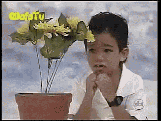 a young boy sitting in front of a potted plant with flowers on it .