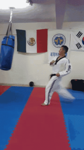 a man is practicing martial arts in front of a mexican flag and a south korean flag