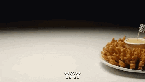 a plate of onion rings with a dipping sauce on a table with the word yay written on it .