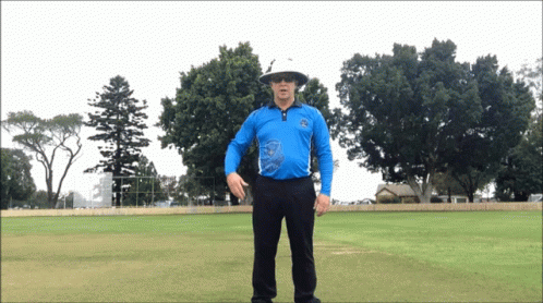 No Ball Cricket GIF - No Ball Cricket Umpire GIFs