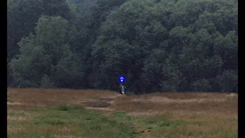a person walking in a field with a blue circle around them