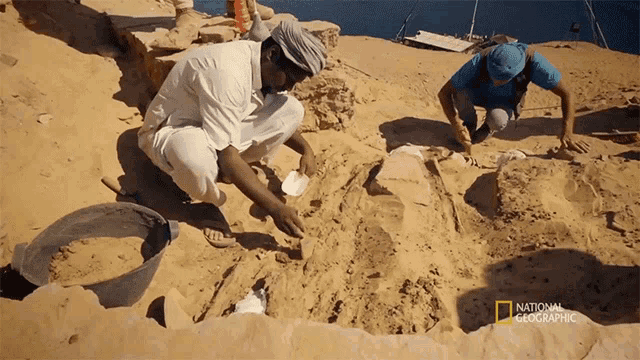 Archaeology Site Mummified Crocodiles GIF - Archaeology Site Mummified Crocodiles Ancient Egypt GIFs