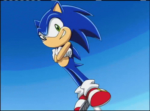 Sonic X Sonic The Hedgehog GIF - Sonic X Sonic The Hedgehog GIFs
