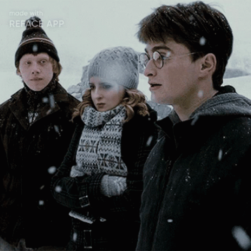 Hermione Granger GIF - Hermione Granger Harry GIFs