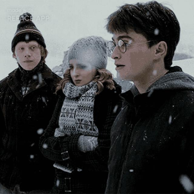 harry potter and his friends are standing in the snow with reface app