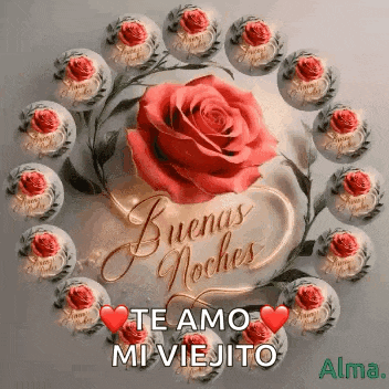 a red rose is in the middle of a circle of red roses and says `` te amo mi viejito '' .