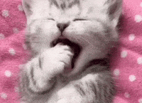 a kitten is yawning while laying on a pink blanket .