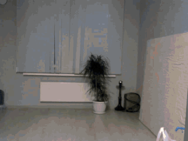 a potted plant sits in the corner of a room next to a window
