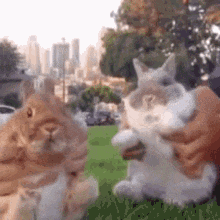 two rabbits are being held in a person 's hands in a park .