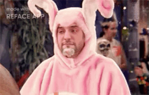 Easter Cat GIF - Easter Cat Bunny GIFs