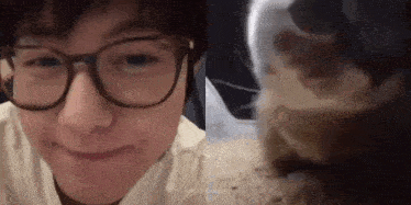 a close up of a person wearing glasses and a close up of a cat drinking from a cup .