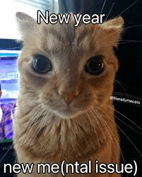 a close up of a cat with a caption that says `` new year new me ( ntal issue ) ''