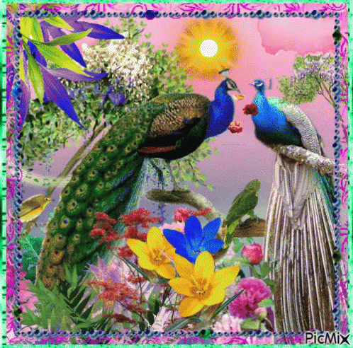 Peacocks Flowers GIF
