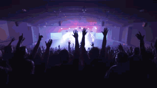 a crowd of people with their arms in the air at a concert