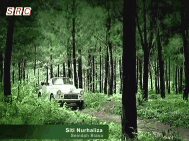 a white car is driving through a forest with src written on the top