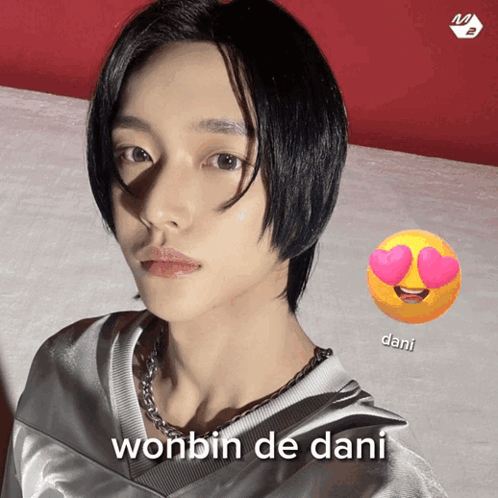 Wonbin Dani Dani Wonbin GIF - Wonbin Dani Dani Wonbin Wonbin De Dani GIFs