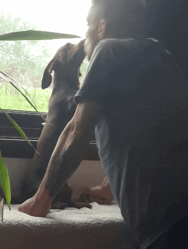 a man and a dog are looking out a window and the dog is sniffing the man 's arm