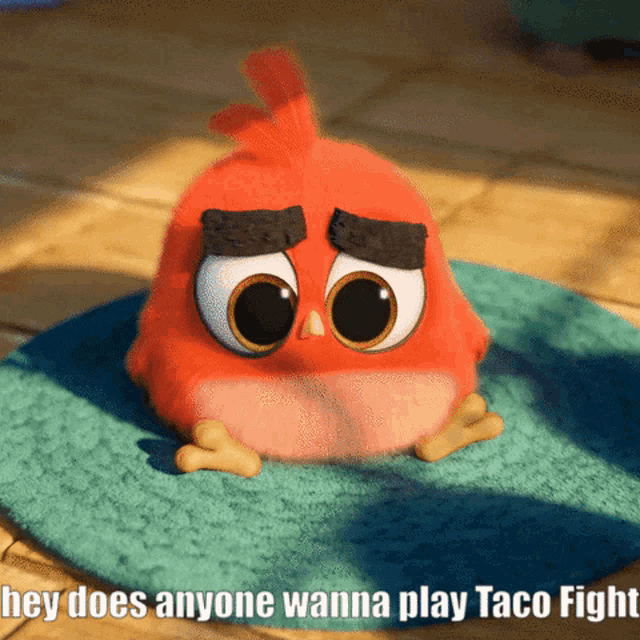 a red angry bird sits on a blue mat with the words hey does anyone wanna play taco fight